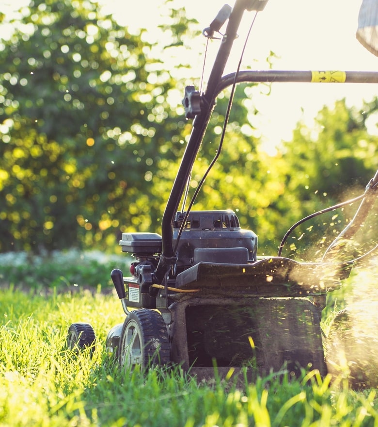 mowing-the-backyard-lawn