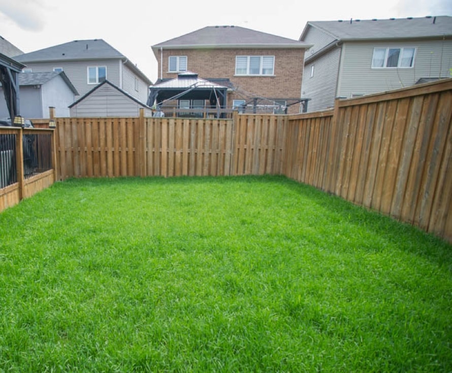 landscaped-backyard